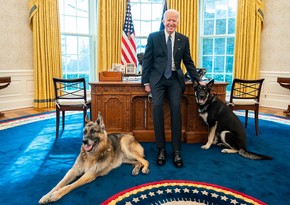 Biden's dog removed from White House after series of biting incidents