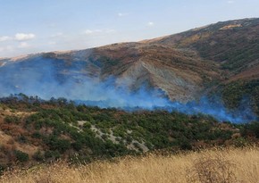 Fire breaks out in forest area in Ismayilli 