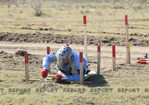 277 mines found in liberated areas