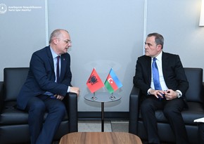 Azerbaijan, Albania discuss promising areas of cooperation