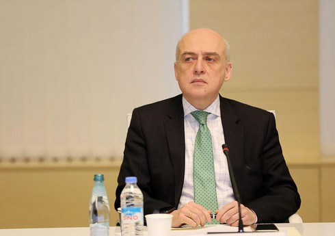Глава МИД Грузии отчитается о визите в Азербайджан