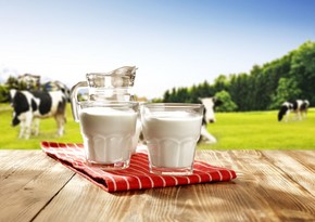 Azerbaijan elaborating state program on development of dairying