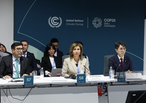 COP29 çərçivəsində Uşaqlar, Gənclər və İqlim Fəaliyyəti üzrə yüksək səviyyəli dəyirmi masa keçirilib