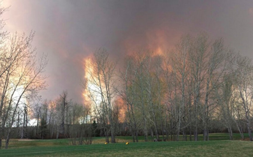 Площадь пожаров в канадской Альберте достигла 355 тысяч гектаров