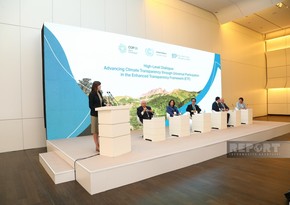 Vladanka Andreeva: UN grateful to Azerbaijan for prioritizing transparency issues