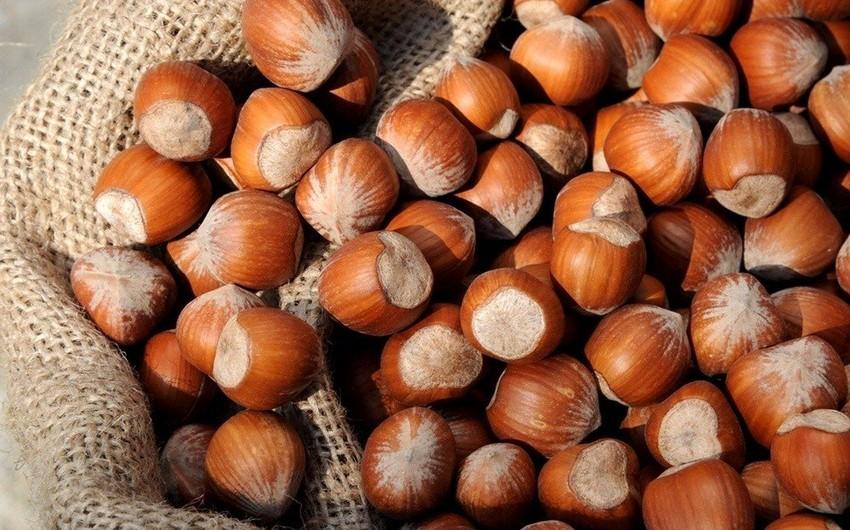 Azerbaijan’s hazelnut imports from Türkiye diminish
