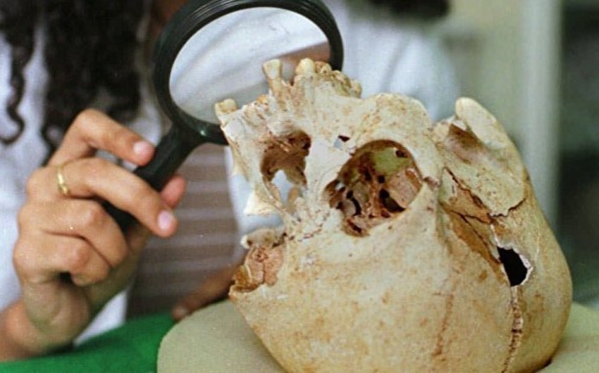 В Бразилии на развалинах Нацмузея нашли череп древней женщины Лузии