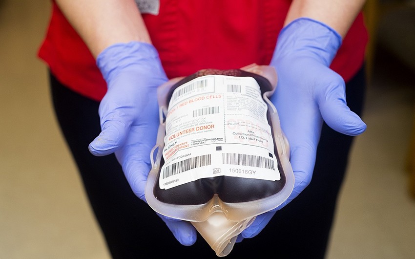 TƏBİB призывает здоровых людей сдать кровь для нуждающихся
