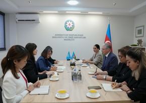 Muxtar Babayev BMT rəsmisi ilə COP29-a hazırlığı müzakirə edib