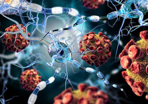 Ученые выявили клетки мозга, ускоряющие развитие болезни Альцгеймера
