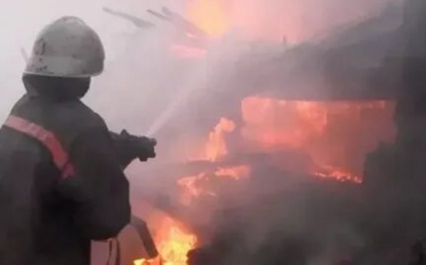 Албания обратилась к ЕС за помощью в тушении пожаров