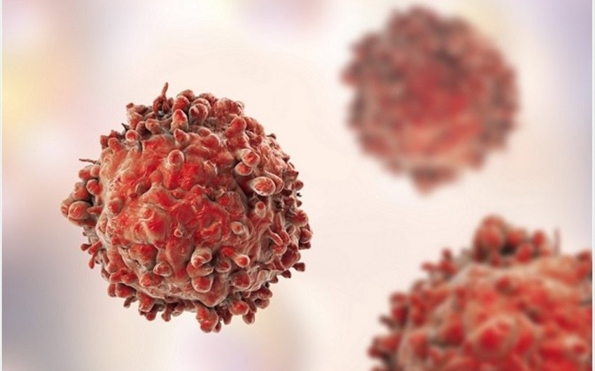 В Таиланде объявили о первом успешном использовании клеток-убийц в борьбе с лейкемией