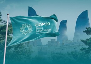 Исторический успех COP29: Зеленый свет углеродному рынку