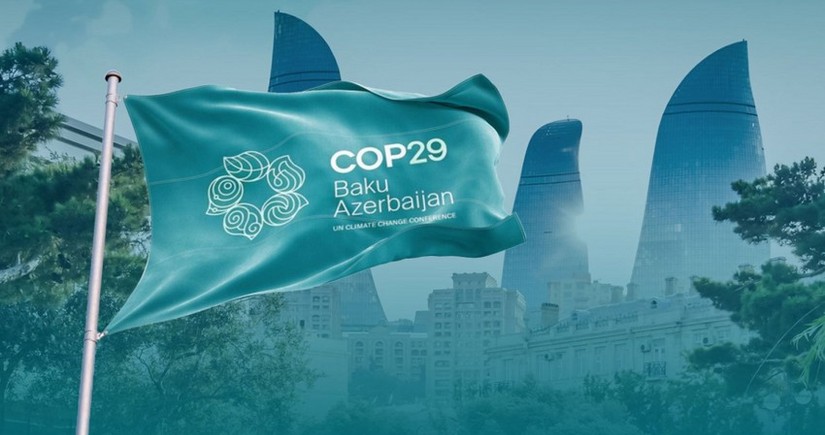 Исторический успех COP29: Зеленый свет углеродному рынку