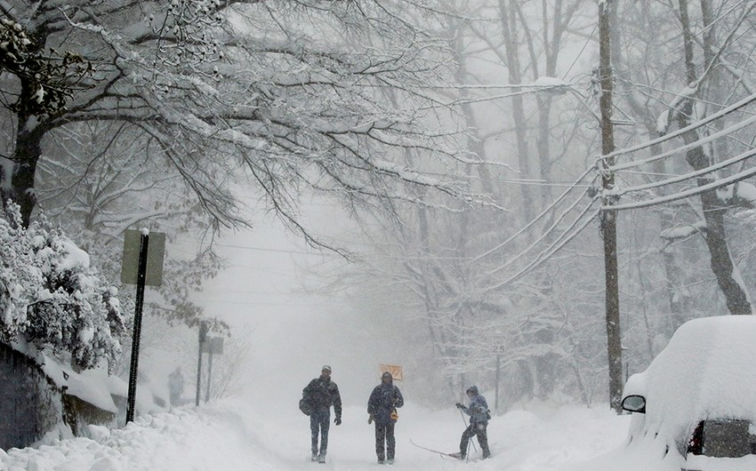 ​Число жертв снегопадов в США достигло 36 человек