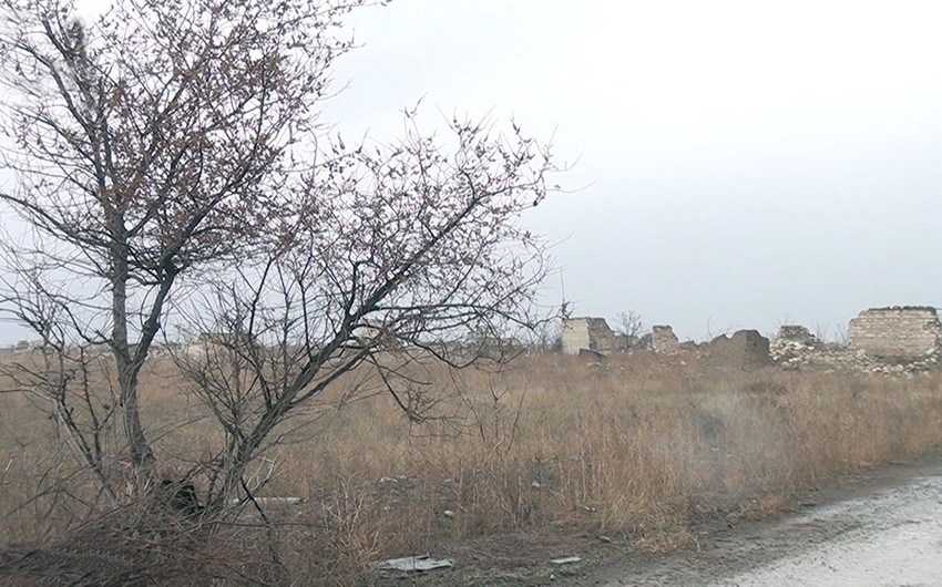 Минобороны распространило кадры из села Ильхычылар Агдамского района