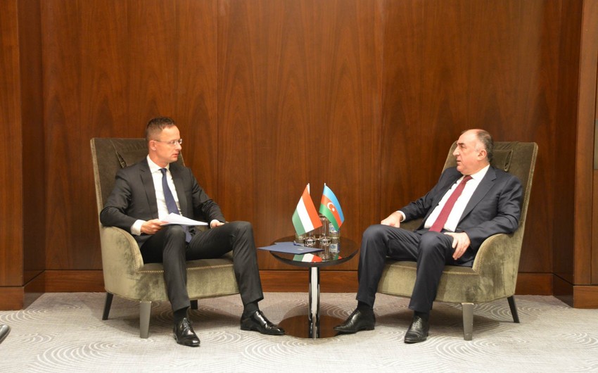 Azerbaijani Foreign Minister meets Hungarian counterpart