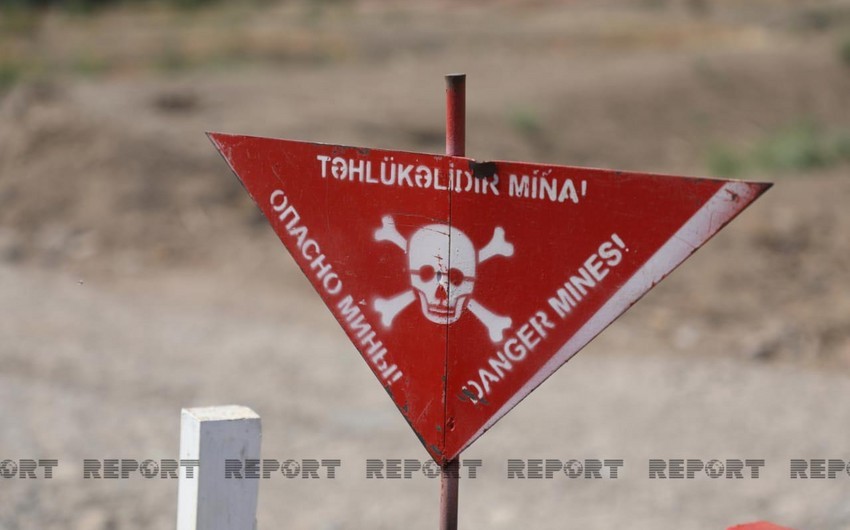 На освобожденных территориях Азербайджана выявлено еще 183 мины