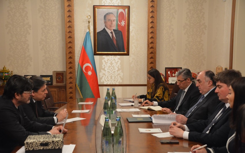 Azerbaijan's Foreign Minister receives incoming  Ambassador of Brazil