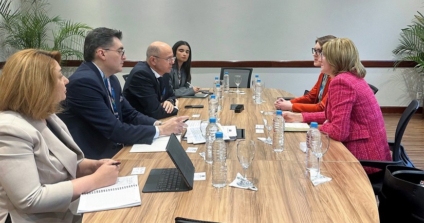 Azerbaijan and Hydrogen Council discuss energy cooperation