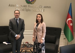 Leyla Abdullayeva meets with Pakistan's ambassador to Azerbaijan