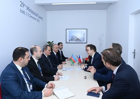 Azerbaijani, Czech FMs hold meeting