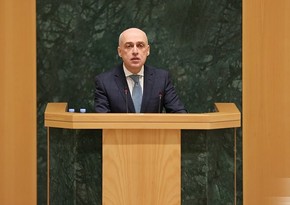 Глава МИД: Грузия стала первой страной-посредником между Азербайджаном и Арменией