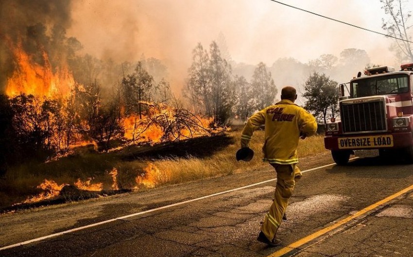 СМИ: На западе Канады из-за лесных пожаров идет массовая эвакуация населения