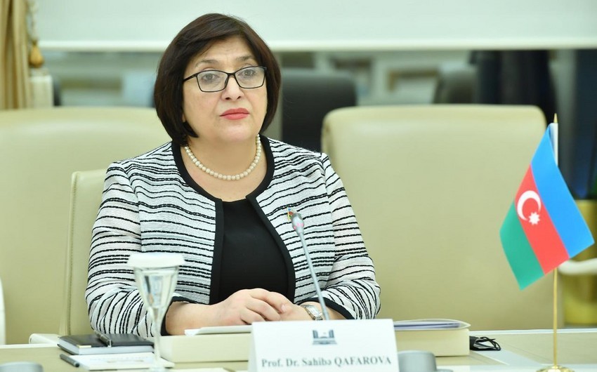 Sahibə Qafarova: Deputatın da, Milli Məclisin də yiyəsi Azərbaycan xalqıdır