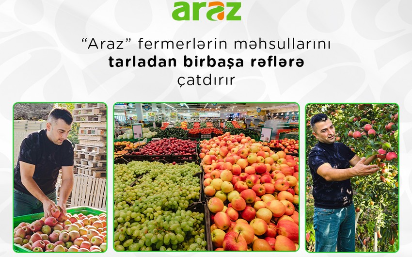 “Araz” supermarketlər şəbəkəsi fermerlərin məhsullarını tarladan birbaşa rəflərə çatdırır