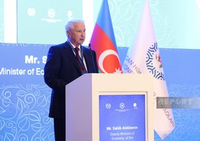 Deputy minister: Azerbaijan actively working to combat climate change