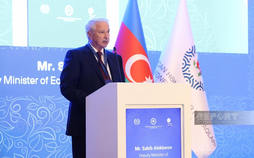 Deputy minister: Azerbaijan actively working to combat climate change