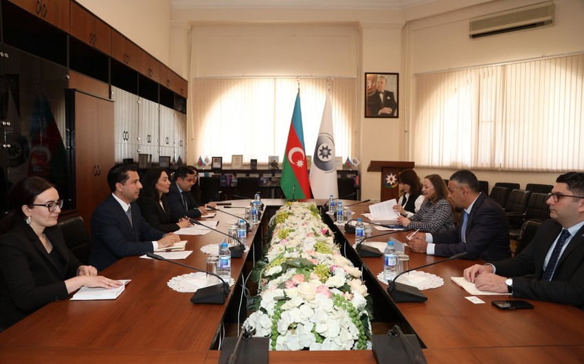 Сабина Алиева проинформировала представителя ООН о минной проблеме в Азербайджане