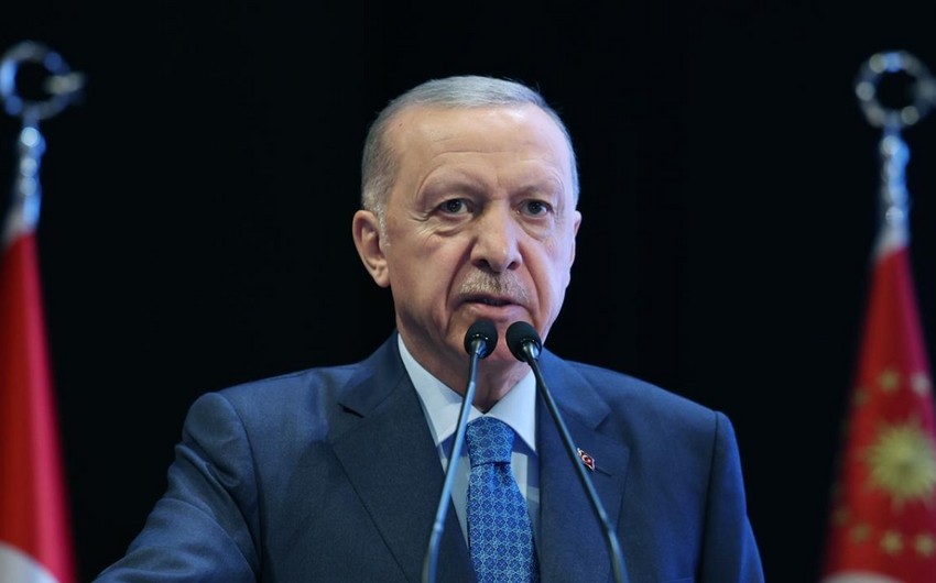 Erdogan: Türkiye is making patient efforts to ensure just peace in Ukraine