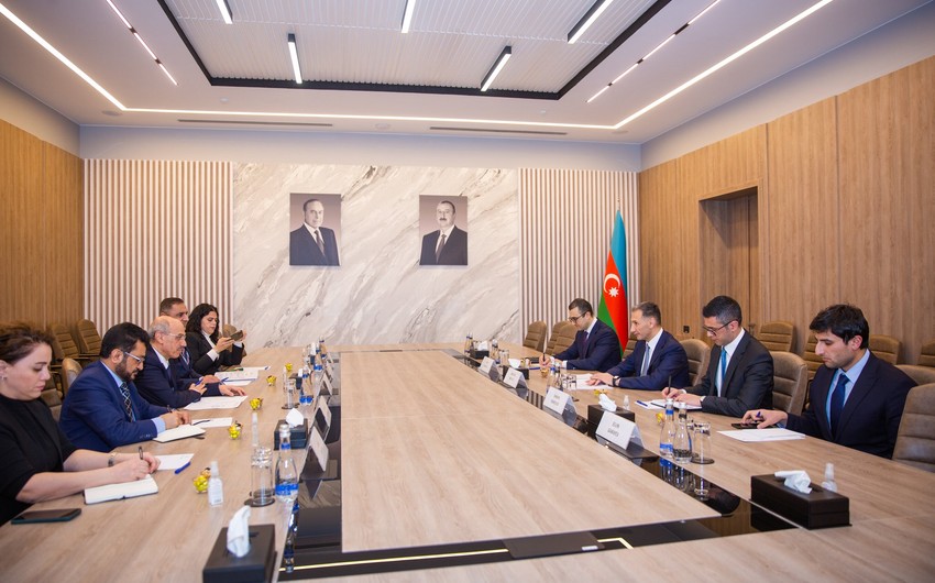 Azerbaijan, IDB discuss expansion of cooperation in cloud technologies