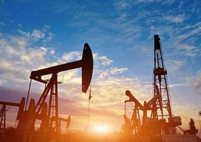 Рост добычи нефти в США в этом году может составить 0,66 млн баррелей в сутки