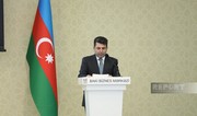 Deputy minister: Azerbaijan and Slovakia can boost trade turnover 