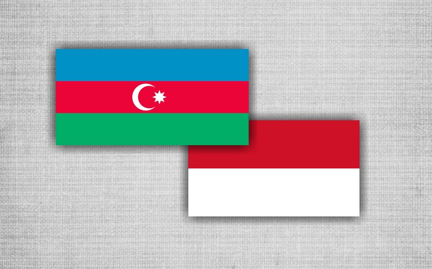 Delegation led by Deputy Chairman of House of Representatives of Indonesia to visit Baku