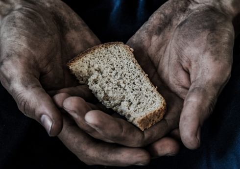 ФАО: В 2023 году в мире голодал каждый 11-й человек