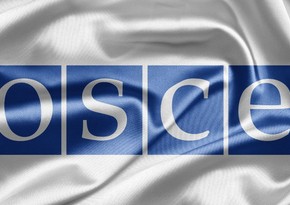 ОБСЕ/БДИПЧ: Закон Грузии об иноагентах не соответствует демократическим стандартам и правам человека