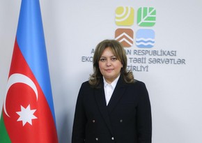 Умайра Тагиева: Азербайджан взял на себя амбициозные обязательства по сокращению выбросов