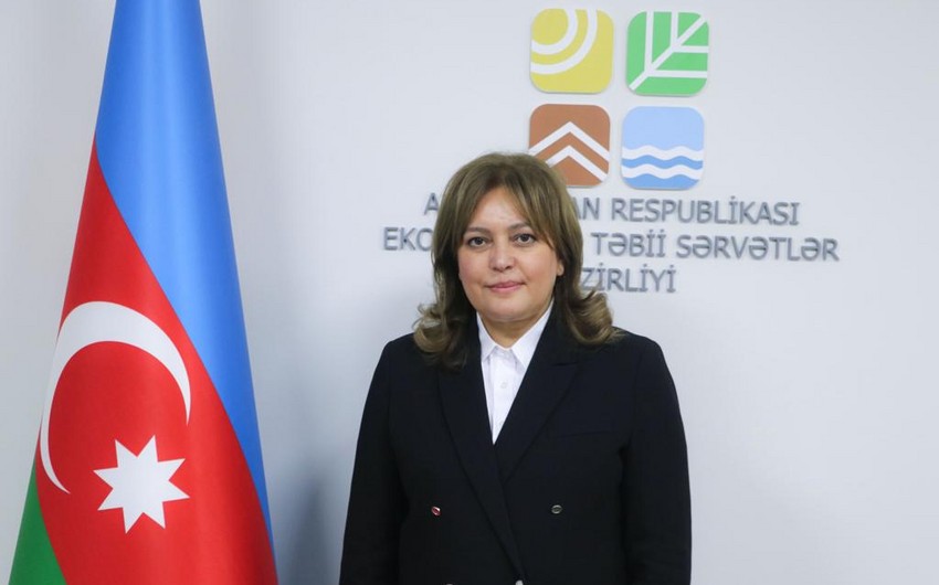 Умайра Тагиева: Азербайджан взял на себя амбициозные обязательства по сокращению выбросов