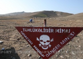 Ermənistanın minalarla bağlı təqdim etdiyi məlumatlar ərazilərin cəmi 1,25 faizində etibarlıdır