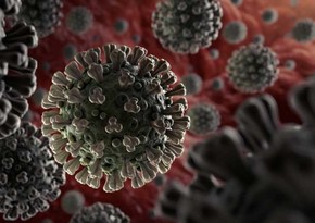 Avropanın 33 ölkəsində koronavirusa yoluxma kritik həddə çatıb