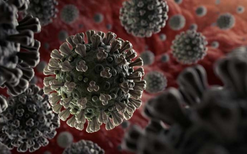 ABŞ kəşfiyyatı koronavirusun mənşəyi ilə bağlı genetik məlumatlar alıb