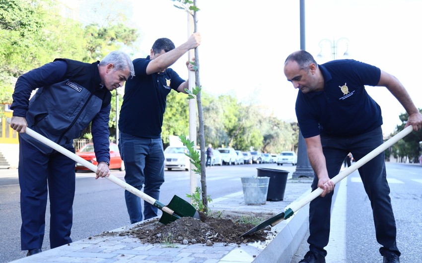 Baş Prokurorluq, ETSN və BDU-nun birgə ECOLEAD layihəsi icra olunur