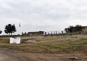 Azerbaijan-Turkey Friendship Garden to be established in Zangilan