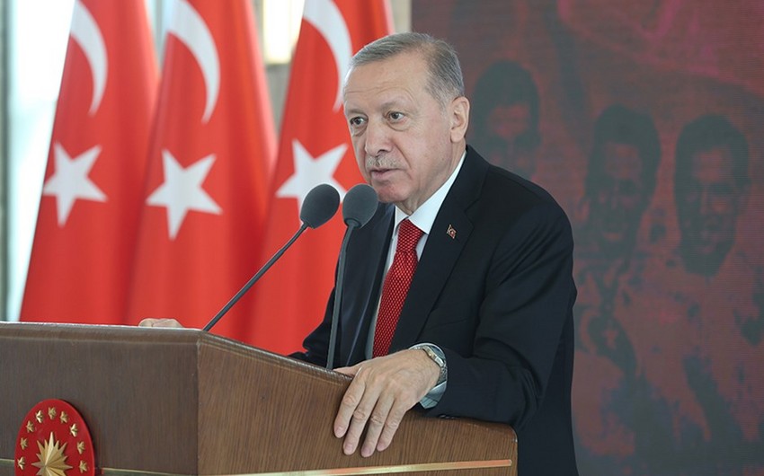 Erdogan says Turkiye preparing to create gas hub