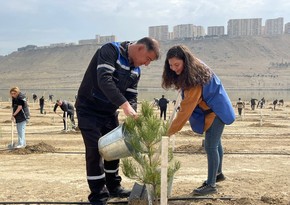 30-летие дипотношений между Азербайджаном и Пакистаном отметили акцией по посадке деревьев