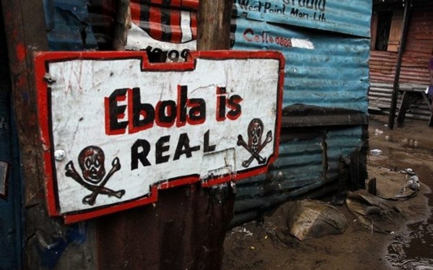 Число жертв лихорадки Эбола достигло 7588 человек